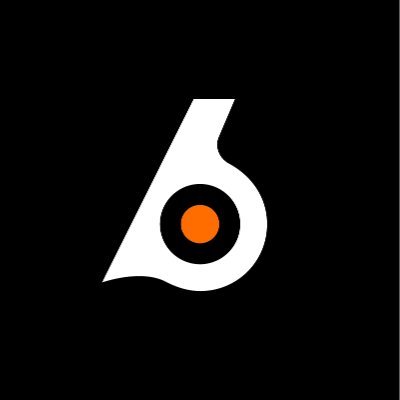 Birdeye logo